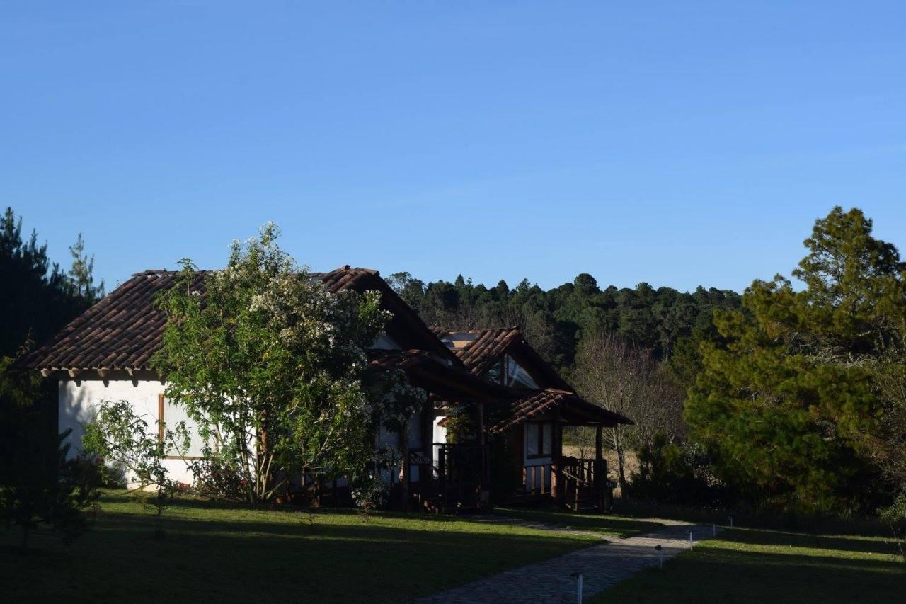 Casa Kitsch 호텔 Zacatlán 외부 사진